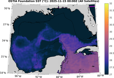 SST_20251115T0000Z.png
