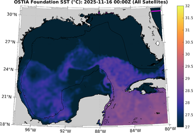 SST_20251116T0000Z.png