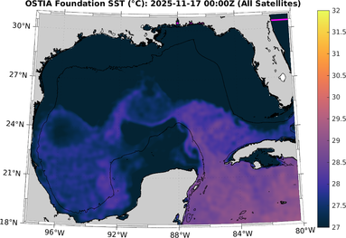 SST_20251117T0000Z.png