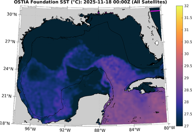 SST_20251118T0000Z.png