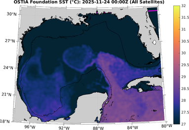 SST_20251124T0000Z.png