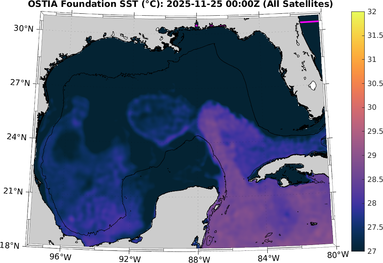 SST_20251125T0000Z.png