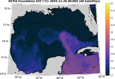 SST_20251126T0000Z.png