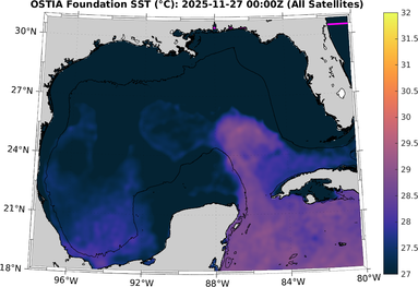 SST_20251127T0000Z.png