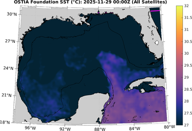 SST_20251129T0000Z.png