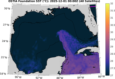 SST_20251201T0000Z.png
