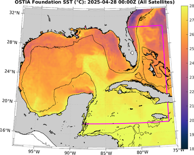 SST_20250428T0000Z.png