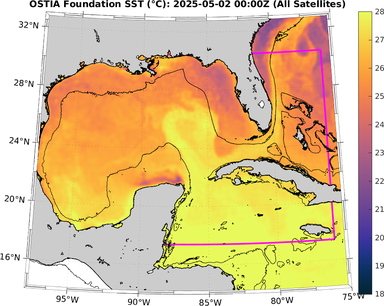 SST_20250502T0000Z.png