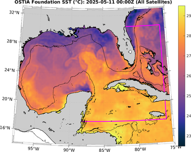 SST_20250511T0000Z.png