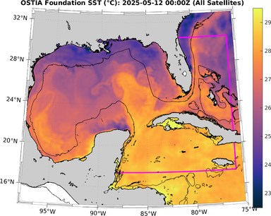 SST_20250512T0000Z.png