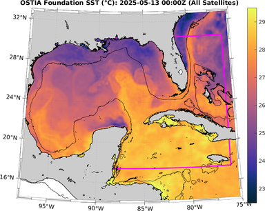 SST_20250513T0000Z.png