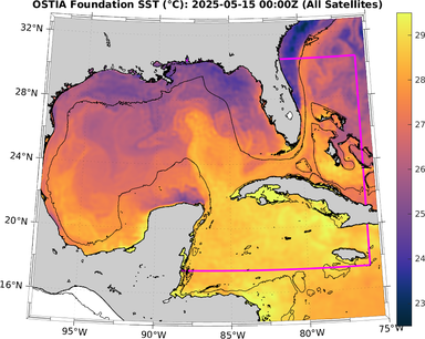 SST_20250515T0000Z.png