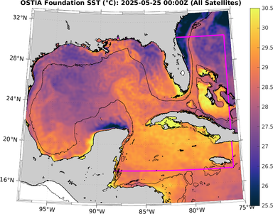 SST_20250525T0000Z.png
