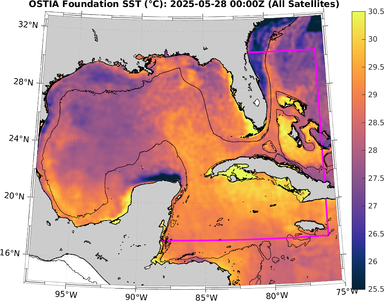 SST_20250528T0000Z.png