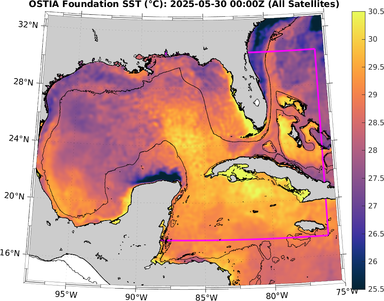 SST_20250530T0000Z.png