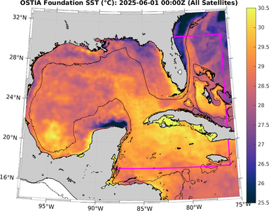SST_20250601T0000Z.png