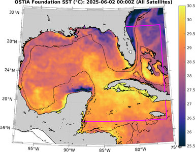 SST_20250602T0000Z.png