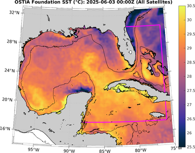 SST_20250603T0000Z.png