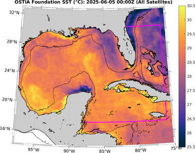 SST_20250605T0000Z.png