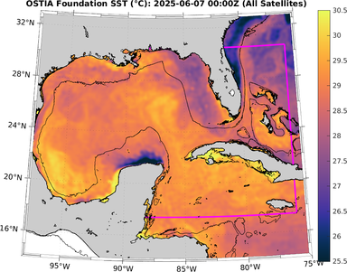 SST_20250607T0000Z.png