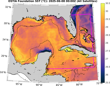 SST_20250608T0000Z.png