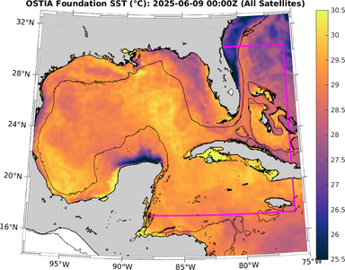 SST_20250609T0000Z.png