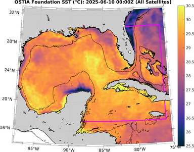 SST_20250610T0000Z.png