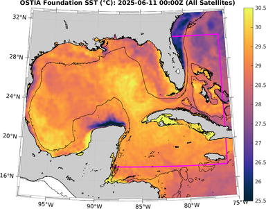 SST_20250611T0000Z.png