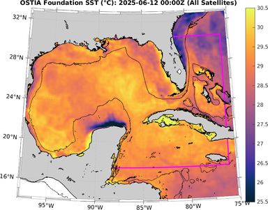 SST_20250612T0000Z.png
