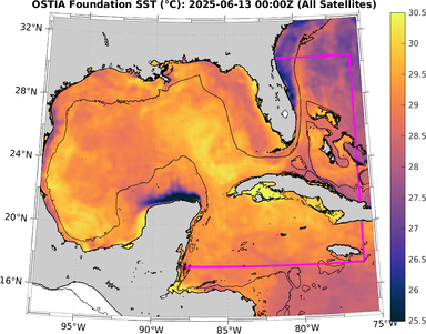 SST_20250613T0000Z.png