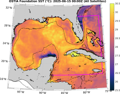 SST_20250615T0000Z.png