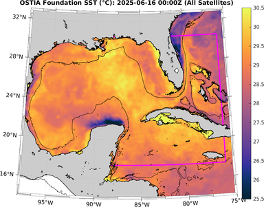 SST_20250616T0000Z.png