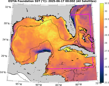 SST_20250617T0000Z.png