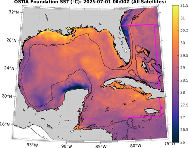 SST_20250701T0000Z.png