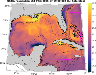 SST_20250709T0000Z.png