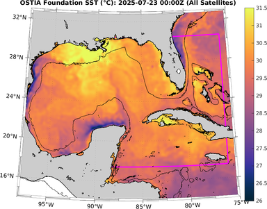 SST_20250723T0000Z.png