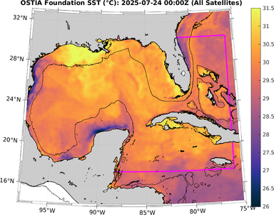 SST_20250724T0000Z.png