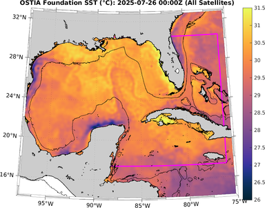 SST_20250726T0000Z.png