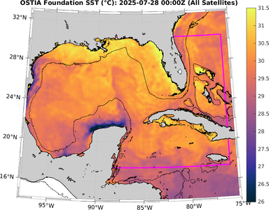 SST_20250728T0000Z.png