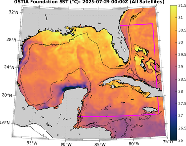 SST_20250729T0000Z.png
