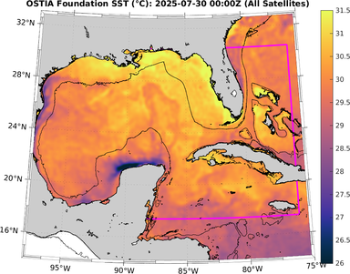 SST_20250730T0000Z.png