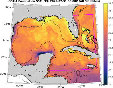 SST_20250731T0000Z.png