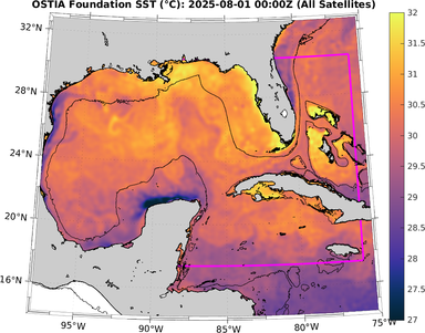 SST_20250801T0000Z.png