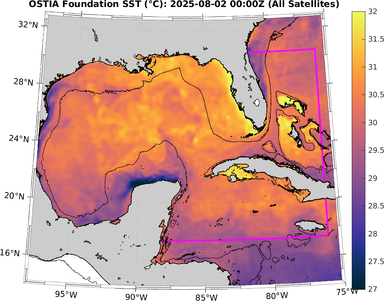 SST_20250802T0000Z.png
