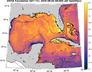 SST_20250803T0000Z.png