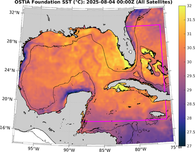 SST_20250804T0000Z.png