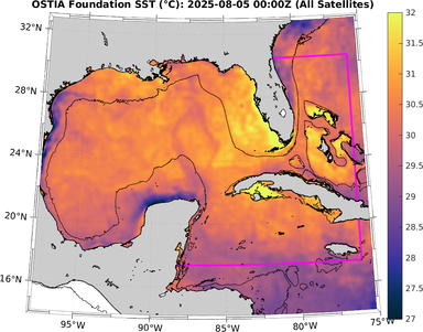 SST_20250805T0000Z.png