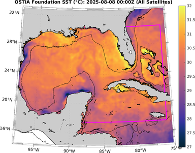 SST_20250808T0000Z.png