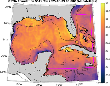 SST_20250809T0000Z.png
