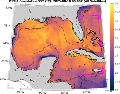 SST_20250810T0000Z.png